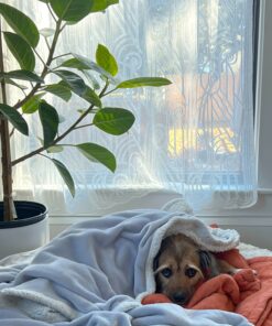 Volute curtain with dog